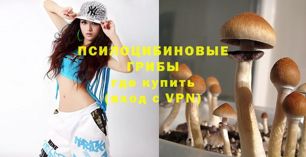 ALPHA PVP Верхний Тагил