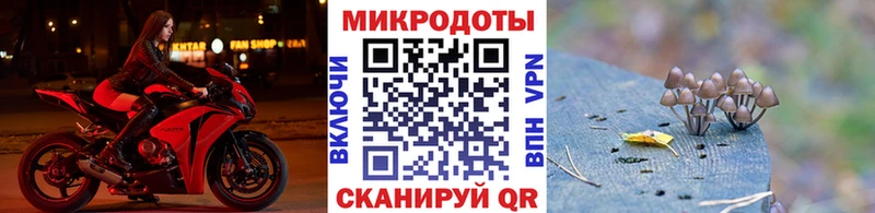 где купить наркотик Воткинск Псилоцибиновые грибы Magic Shrooms